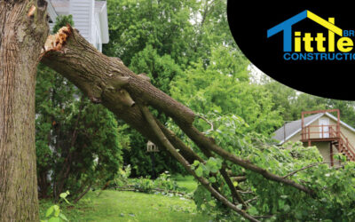 Signs Your Roof Has Suffered Wind Damage